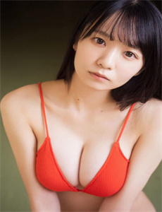 便衣支队电视剧