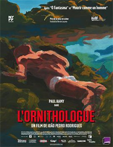 千朵桃花一世开