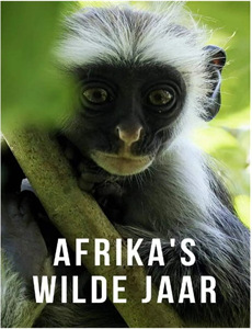 杰洛向前冲 第二季