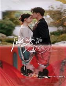 回春小毒医 第一季