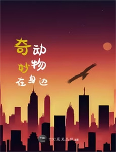 乐队的夏天3周年特辑