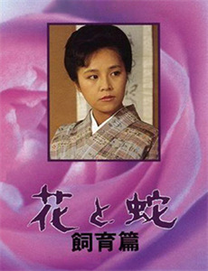 断亲后养女后悔了