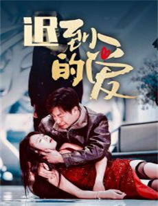 哈马舍尔德：和平角力