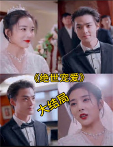 黑衣警探 第二季中文配音