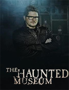 雪莉：现实的愿景