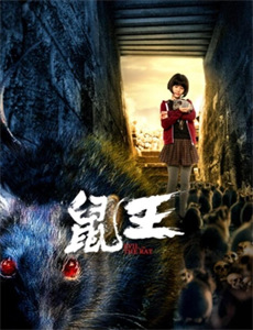 一条叫旺达的鱼