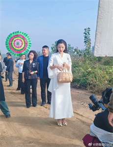 美国豚鼠3：所罗门之歌