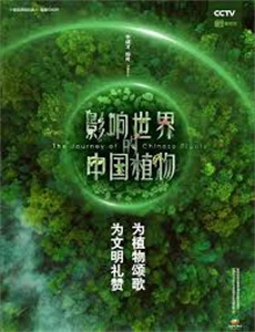 社会人物正能量