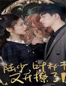 性感迷人的妻子