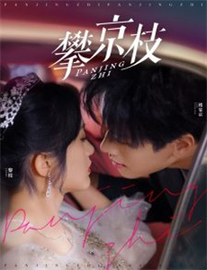 寻宝搭档：圣诞2022