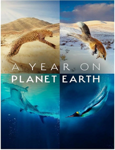 罗瑟福的失败 第二季