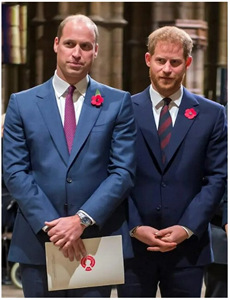 美女总裁欠我赊刀债第二部