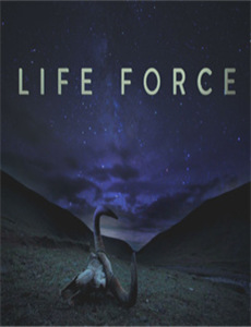 街角少年 第二季